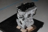 Motor Parcial 1.2 Flex Turbo (6394km) Tracker 20/23 Usado (992)